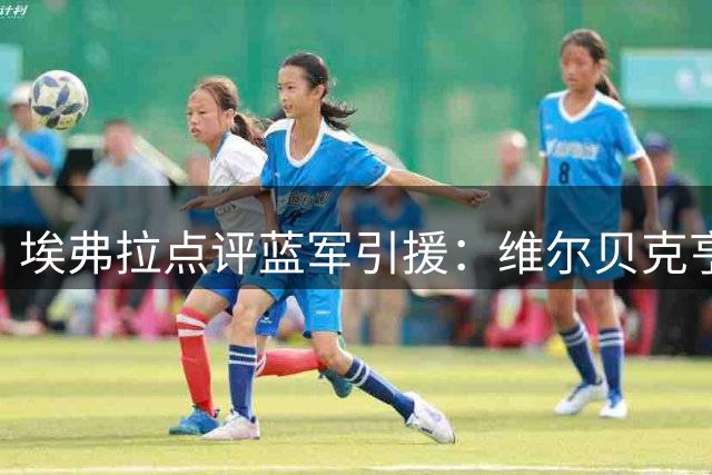 埃弗拉点评蓝军引援：维尔贝克亨德森将成更衣室定海神针