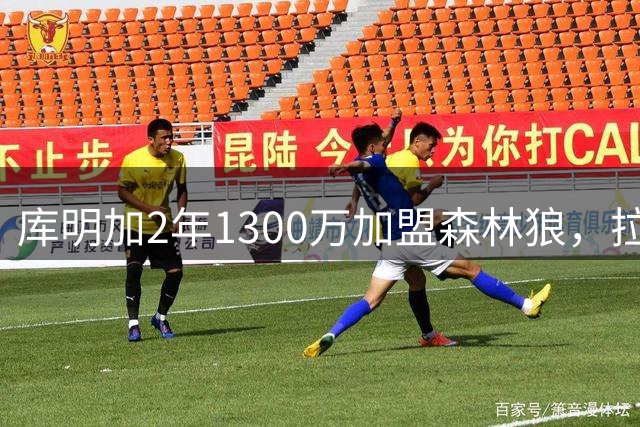 库明加2年1300万加盟森林狼，拉梅洛·鲍尔与爱德华兹攻防升级更致命
