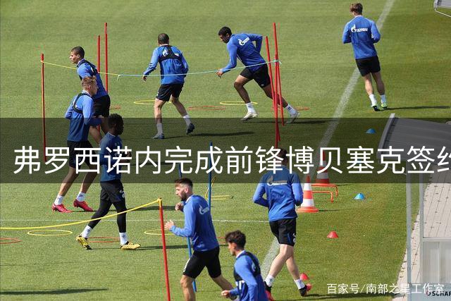 弗罗西诺内完成前锋博贝塞克签约 五年合约价值千万欧元