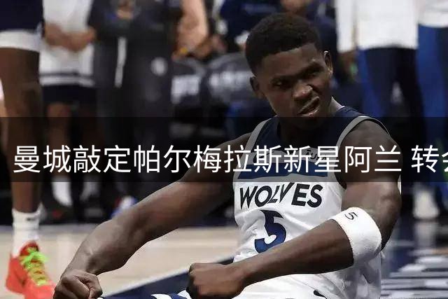 曼城敲定帕尔梅拉斯新星阿兰 转会总价达3400万镑