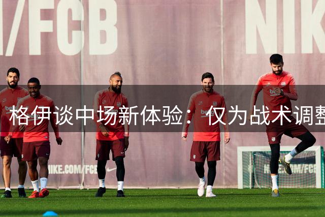格伊谈中场新体验：仅为战术调整 团队精神最关键
